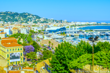 things to do in cannes