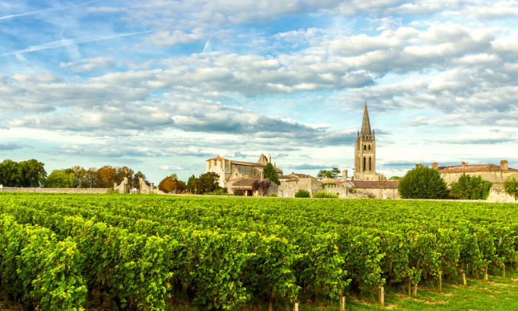 Vineyards of Saint Emilion