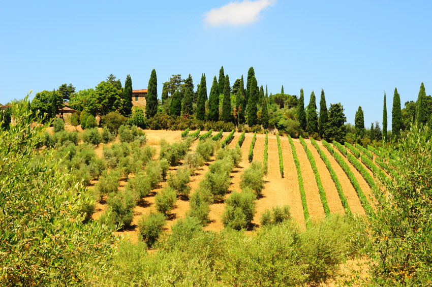 Small Group Tours of Tuscany