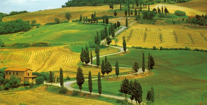 Luxury Tuscany Tours