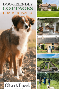 Love going on holiday but hate leaving your pooch behind? Why not just take Fido with you? Here are 10 of our favourite dog-friendly cottages in the UK.