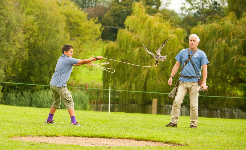 The Falconry School - Cotswolds