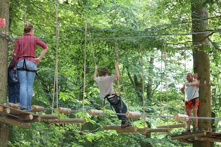 Woody Park - Normandy