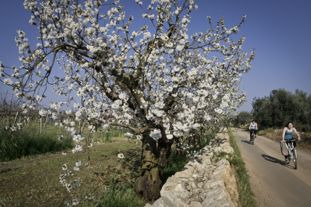 Conversano,Italy - April 13, 2015: Two girls with bikes an afternoon of spring in countryside of Puglia,