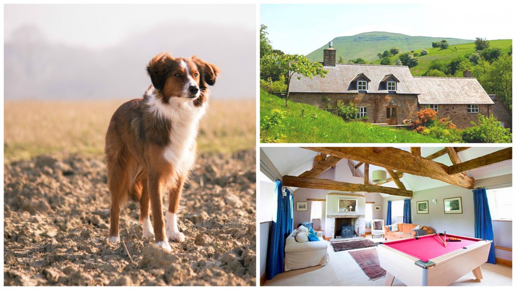 Valley Cottage - Pet friendly holiday - Wales