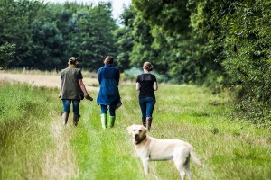 going-walkies-dog-friendly-cottages