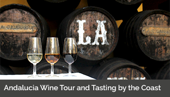 Andalucia Wine Tour and Tasting by the Coast