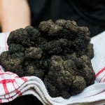 Biggest black truffle - Dordogne
