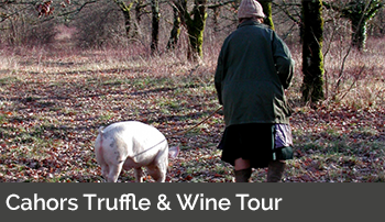 Cahors Truffle & Wine Tour