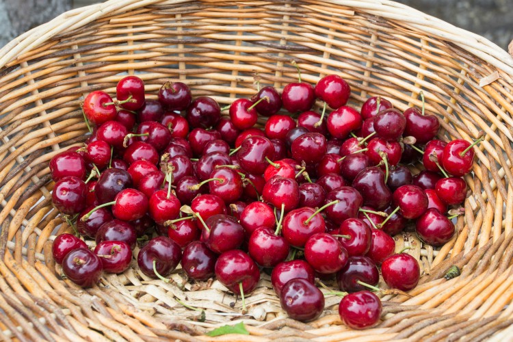 cherries