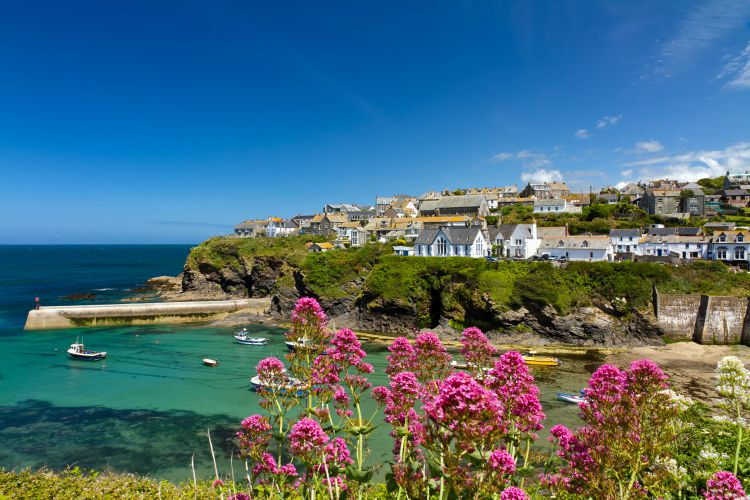 Cove and harbour of Port Isaac, Cornwall, England