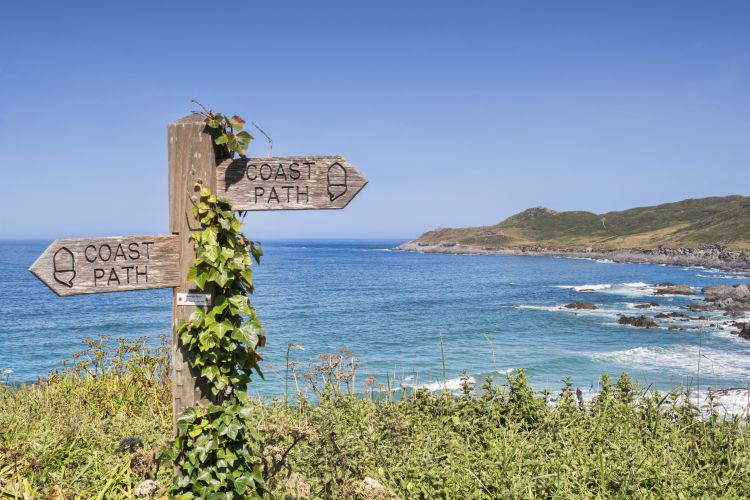 17 June 2017: Woolacombe, North Devon, England, UK - Ivy covered sign on the South West Coast Path above Barrican Beach.