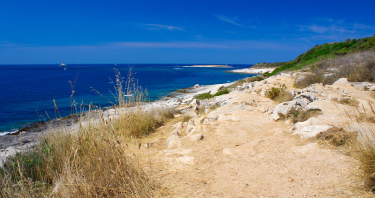 Landscape of Kamenjak cape