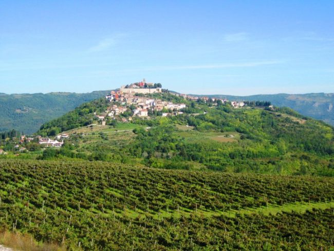 Istrian food and wineries guide