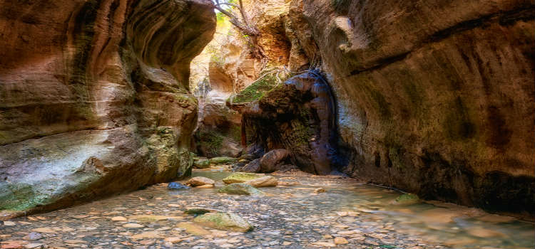 The rocky Avakas Gorge