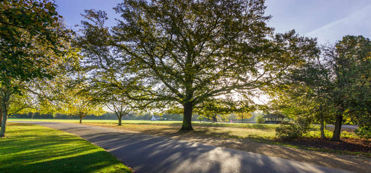 Dulwich Park