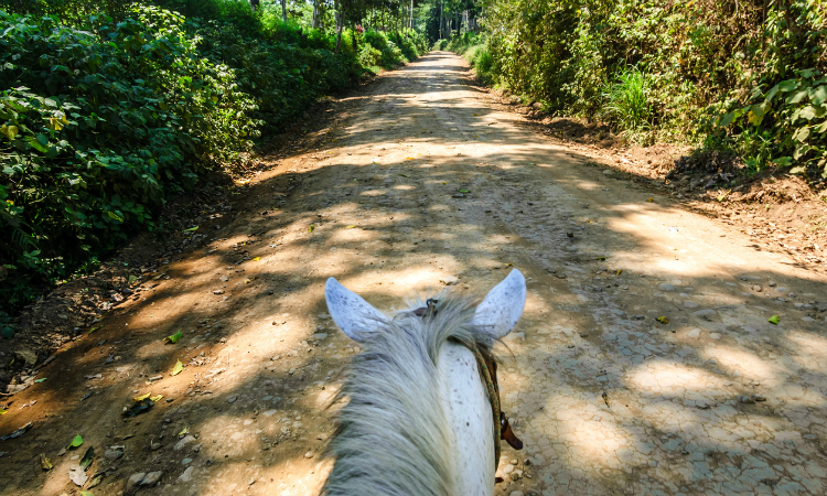 What to do in 1 week in Montenegro - Horse riding