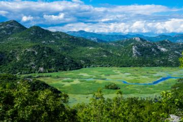 1 week in Montenegro - Lake Skadar