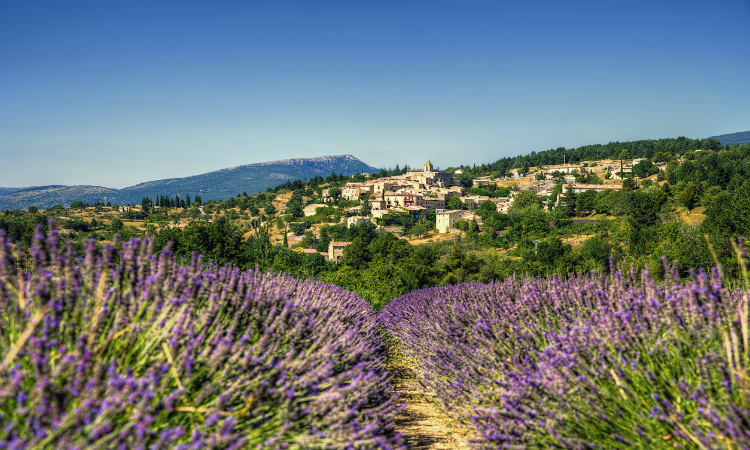 The Village of Aurel Near a Lavender Field in Beautiful Provence - Unique Vacation Ideas