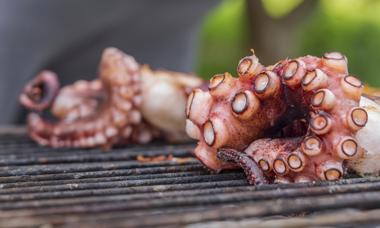 Grilled octopus