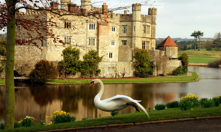 Leeds castle