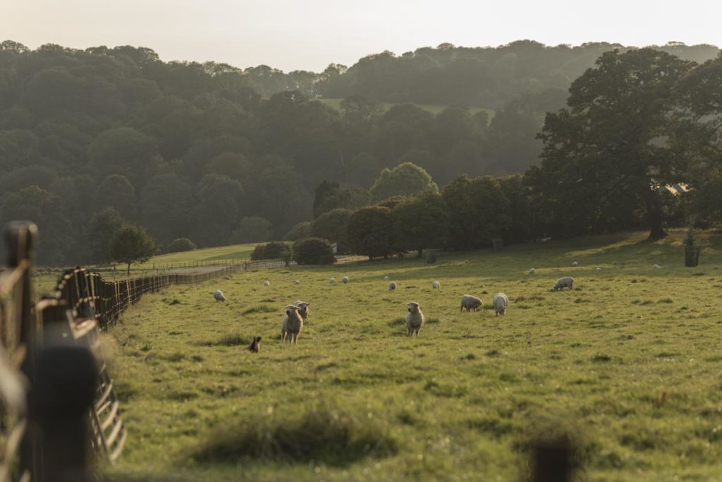 Lostwithiel Stewardry